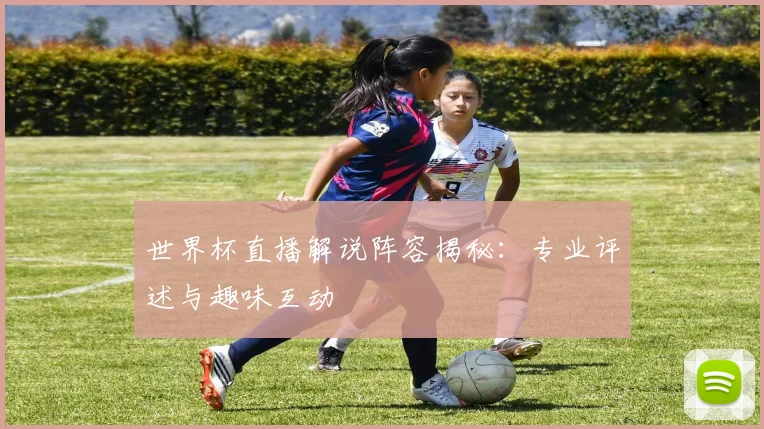 世界杯直播解说阵容揭秘：专业评述与趣味互动