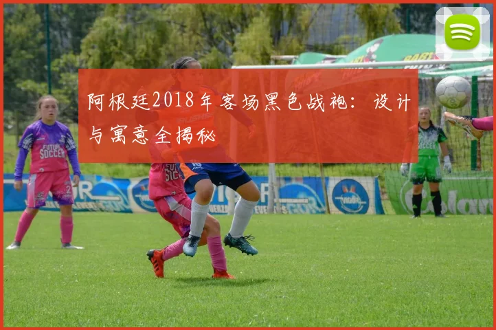阿根廷2018年客场黑色战袍：设计与寓意全揭秘