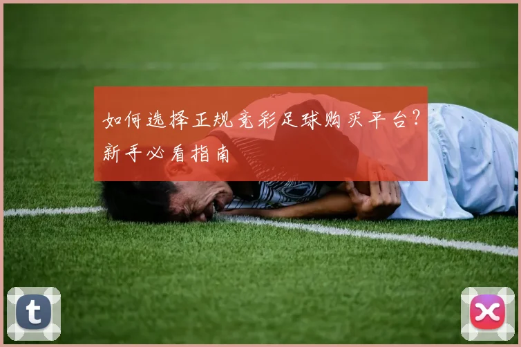 如何选择正规竞彩足球购买平台？新手必看指南