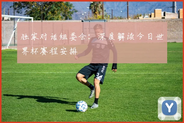 独家对话组委会：深度解读今日世界杯赛程安排