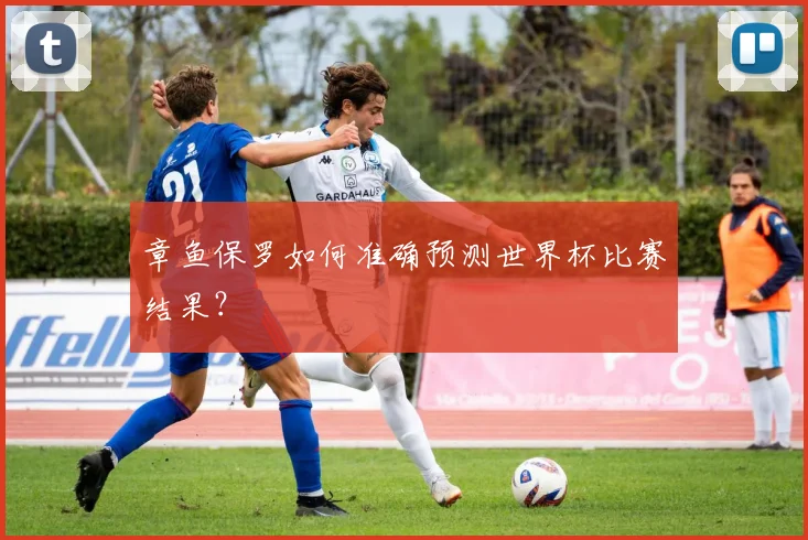 章鱼保罗如何准确预测世界杯比赛结果?