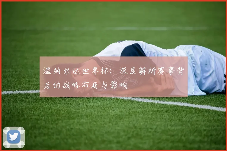 温纳尔达世界杯:深度解析赛事背后的战略布局与影响